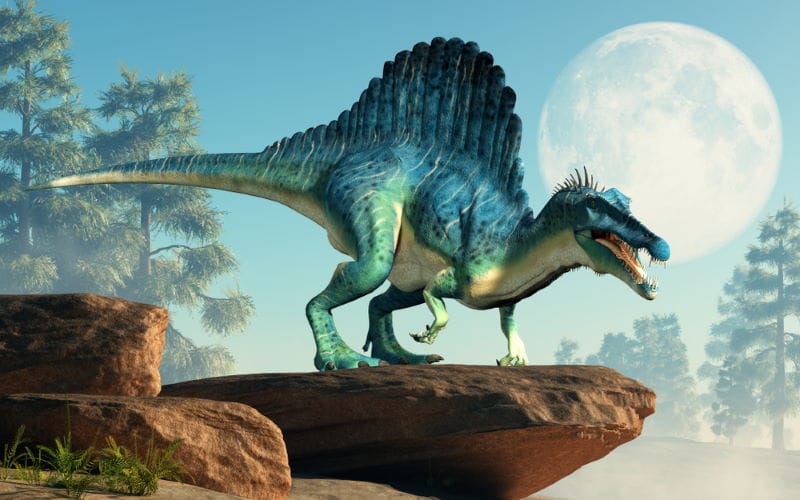 Spinosaurus- Spinosaurus