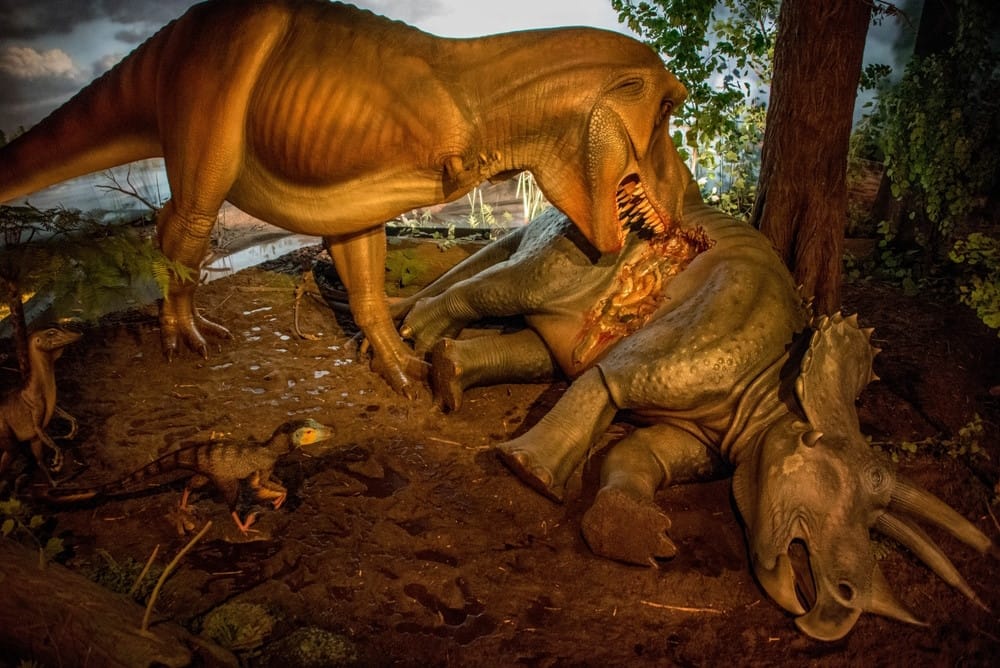 t-rex eten t rex eten