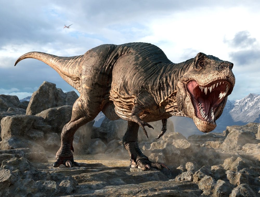 trex-weetjes trex weetjes