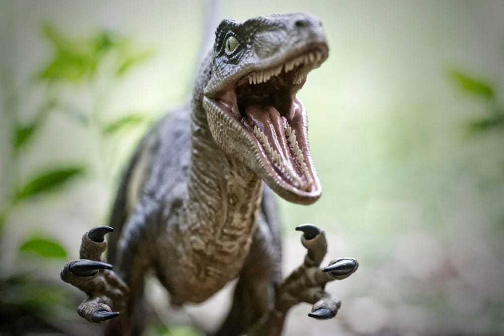 velociraptor