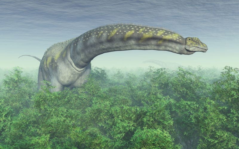 Argentinosaurus Argentinosaurus