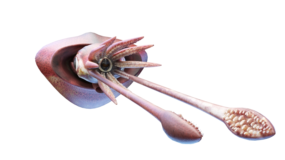 3d,Rendered,Illustration,Of,A,Colossal,Squid 3d,Rendered,Illustration,Of,A,Colossal,Squid