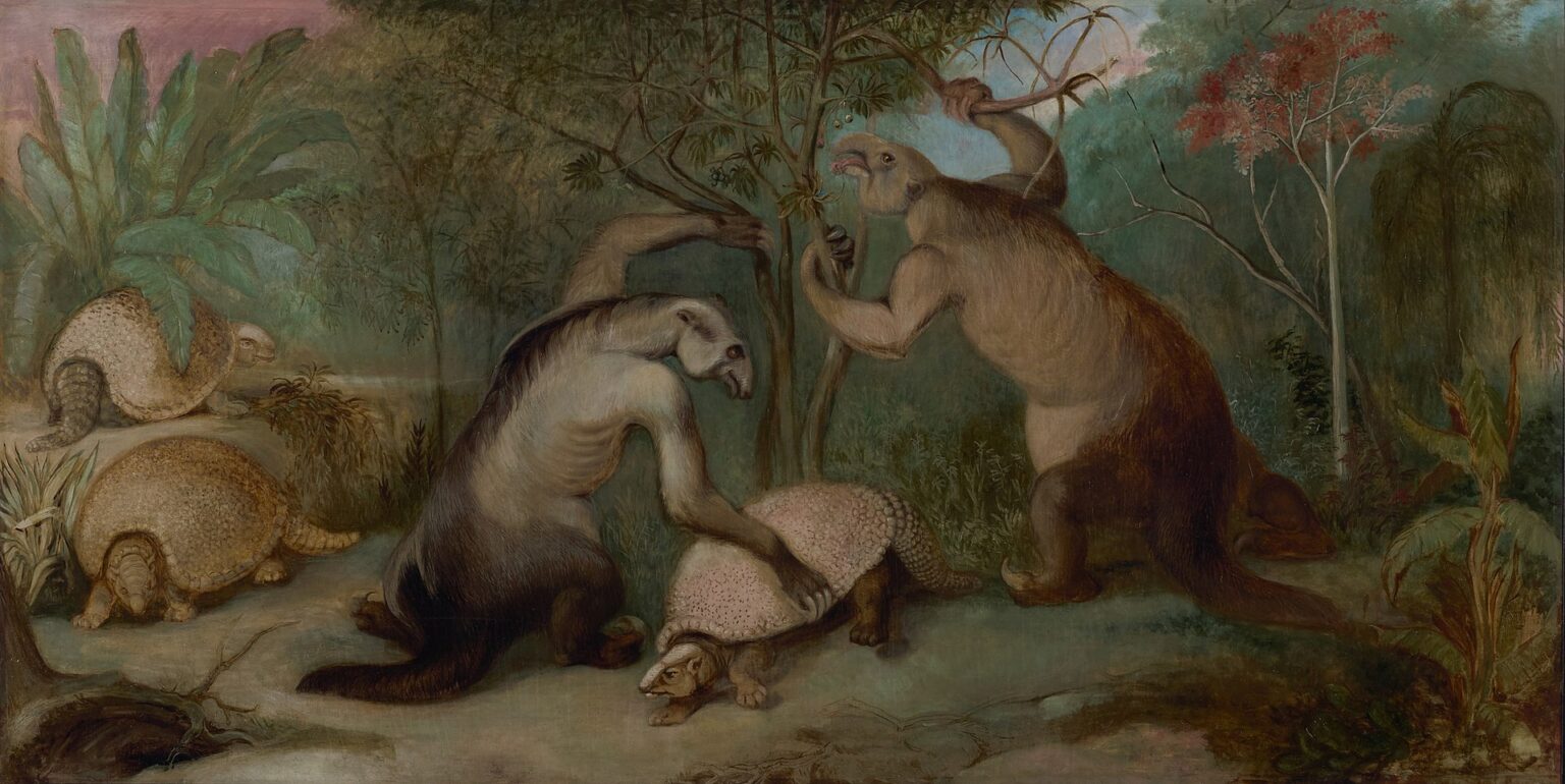 15 Reusachtige weetjes over de Reuzenluiaard Benjamin Waterhouse Hawkins Pleistocene Edentates of Patagoni PP331 Princeton University Art Museum