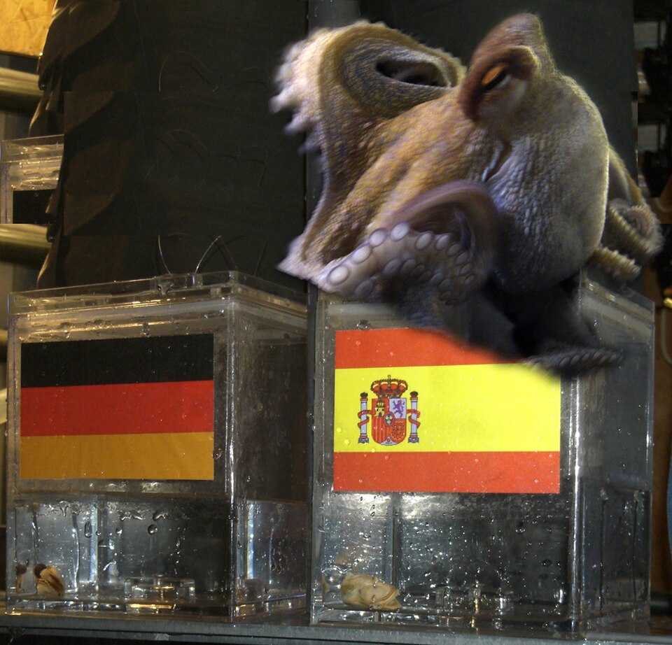 Paul de Octopus