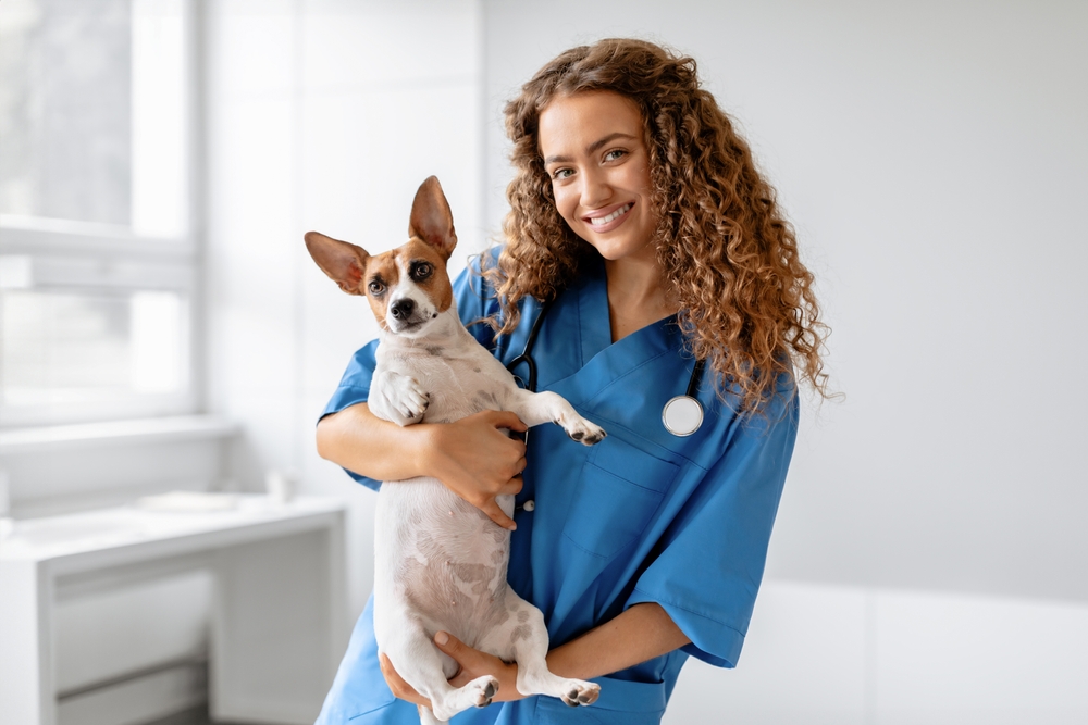 paraveterinair