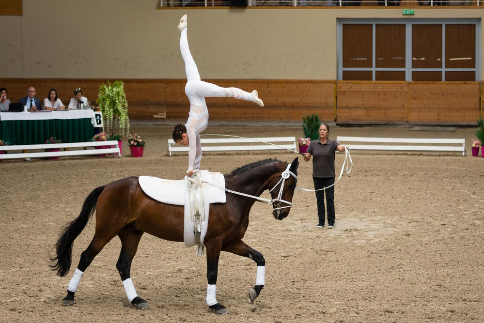 Voltige