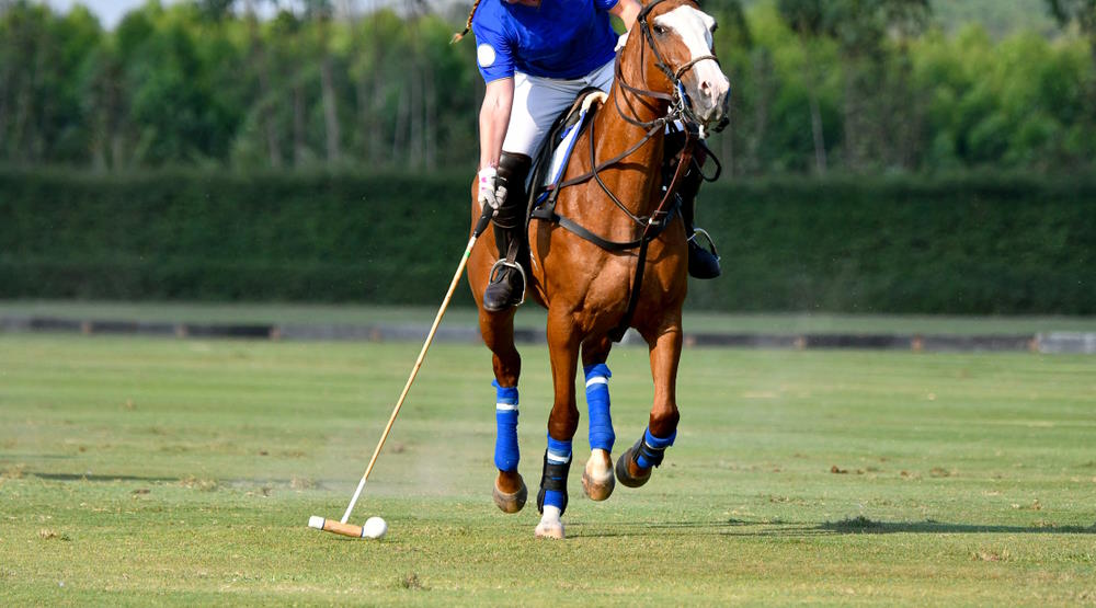 polo