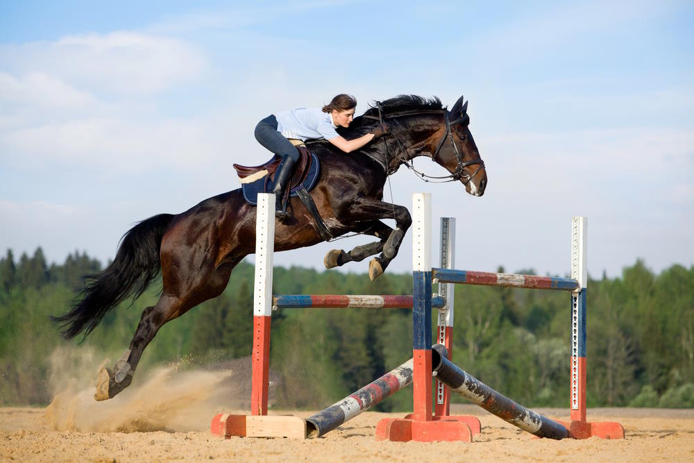 springpaard