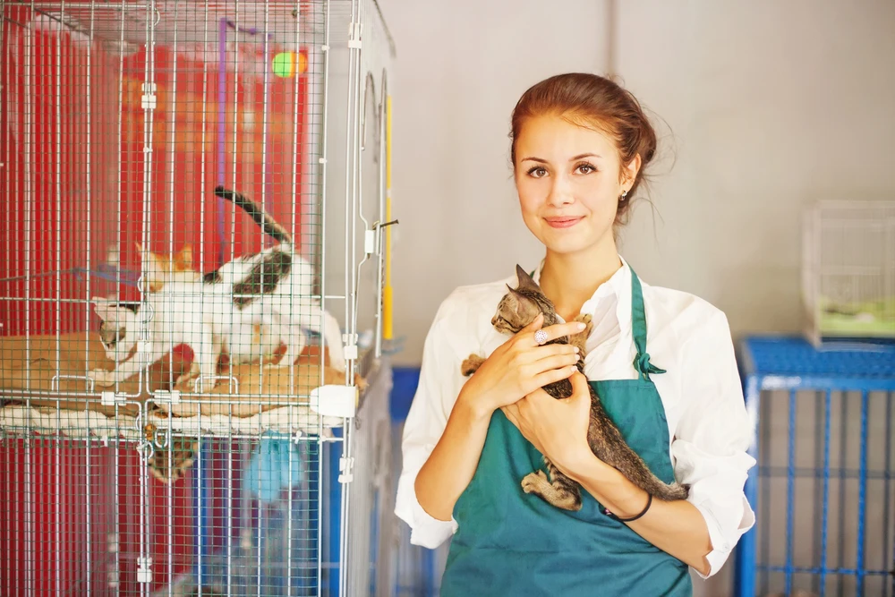 10 dingen die je moet weten over werken in een dierenasiel werken in een dierenasiel
